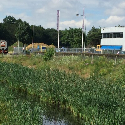 Wadi met planten-bolletje